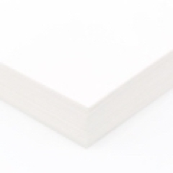 CLOSEOUTS Accent Opaque 18x12 80lb Cover 200/Pkg