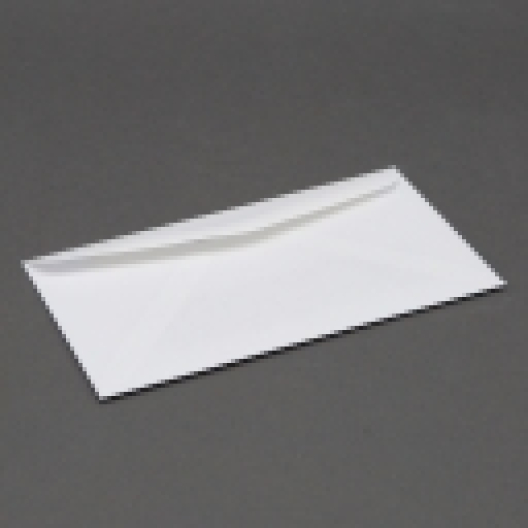 White Wove #7-3/4 24lb Window 500/box
