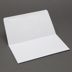  Remittance #9 24lb Envelope 500/box 