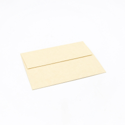  Astroparche Envelope Aged A-2[4-3/8x5-3/4] 250/box 